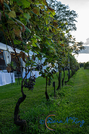 20260918 The Next Step A Night in Tuscany